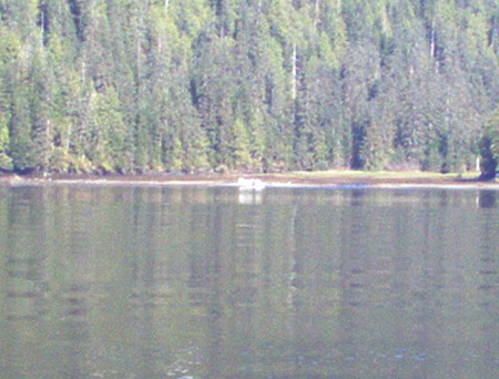 That little white speck is a float plane.